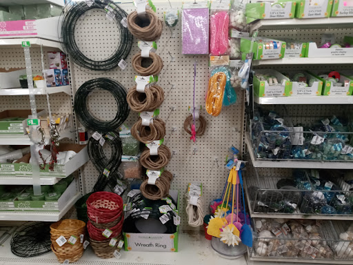 Dollar Store «Dollar Tree», reviews and photos, 9221 N 56th St, Temple Terrace, FL 33617, USA