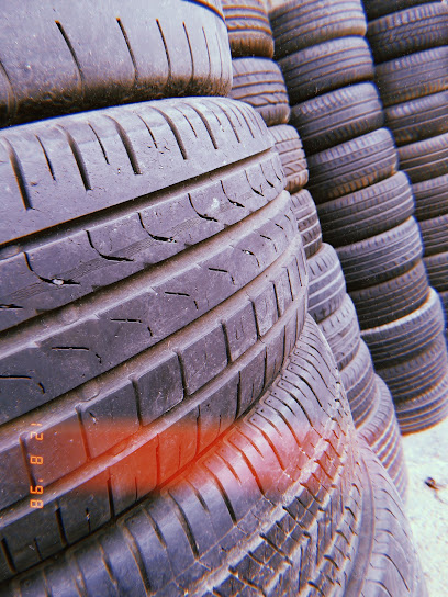 Neumáticos Pepiri