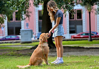 Hands and Paws Canine Training - Photo 4 - Car repair in Pensacola, FL, Pensacola