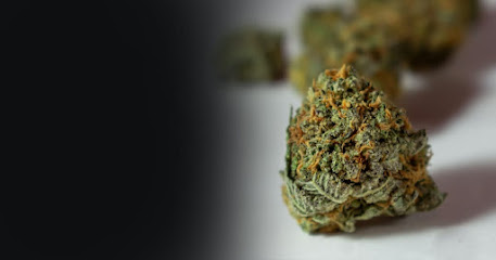 top thcg2gnyc marijuana delivery brooklyn