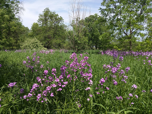 Hiking Area «Hammel Woods - Route 59 Access», reviews and photos, 554 Brook Forest Ave, Shorewood, IL 60404, USA