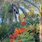 Photo n°20 de l'avis de ANTONIO. fait le 18/08/2023 à 10:58 sur le  Sant'Efis Hotel 4 Stelle Superior à Pula