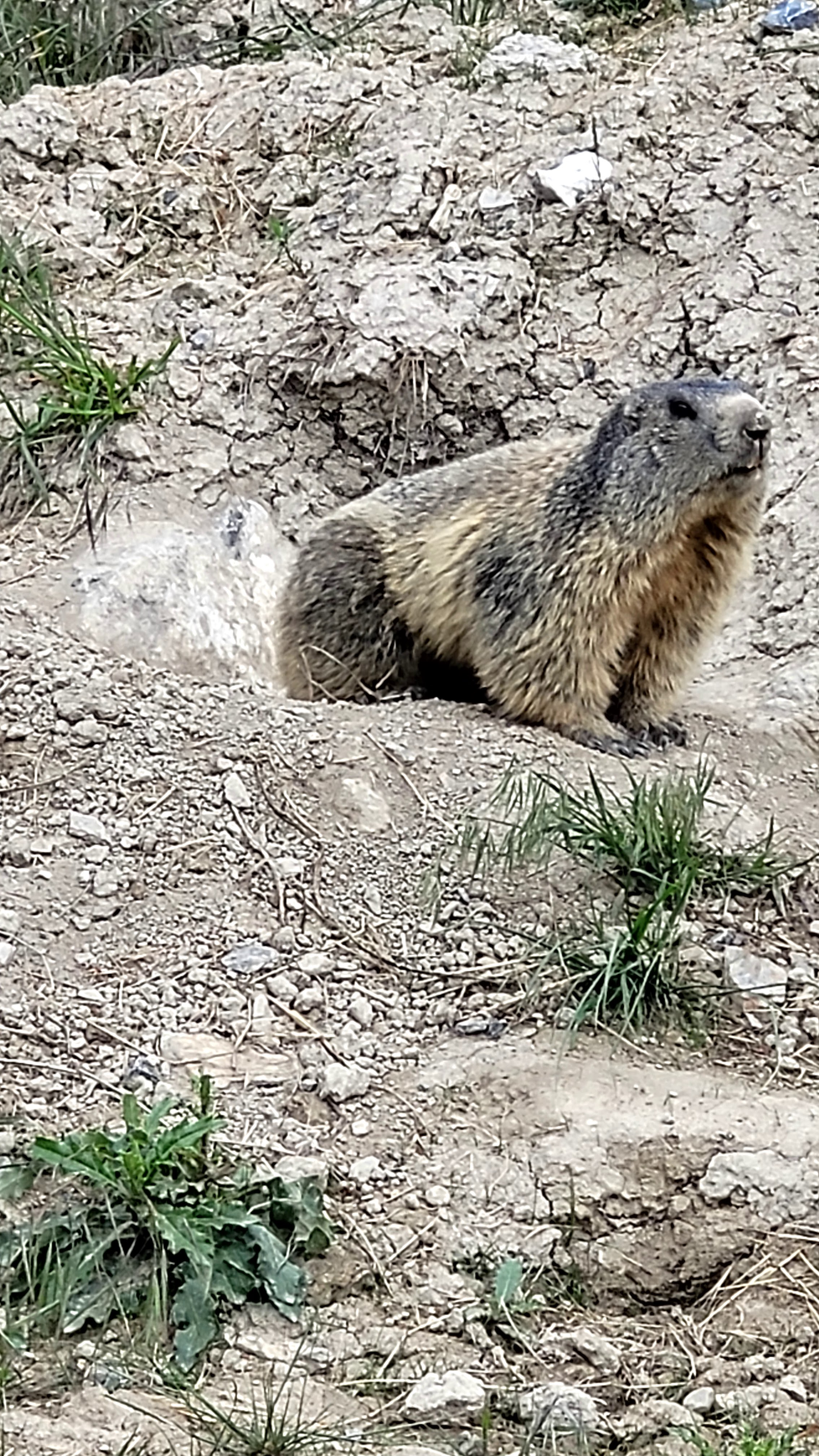 Photo n° 45 de l'avis de PASSIONS.O fait le 24/05/2023 à 09:56