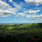 Photo n°1 de l'avis de Simon.n fait le 06/05/2024 à 20:27 sur le  Trattoria Rigoletto à San Gimignano