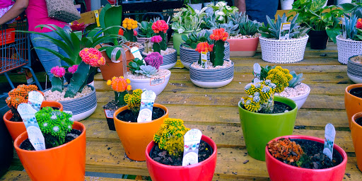 Home Improvement Store «The Home Depot», reviews and photos, 4600 W Lake Mary Blvd, Lake Mary, FL 32746, USA