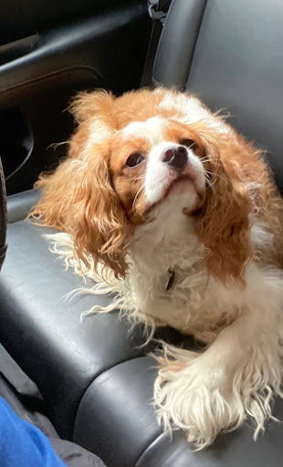 Real Estate Agents «The Jeff Scofield Team», reviews and photos, 2171 Monroe Ave, Rochester, NY 14618, USA