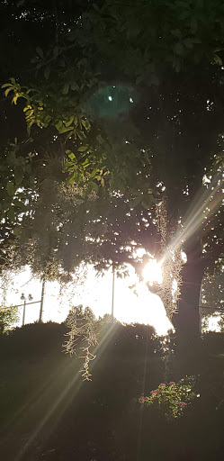 Country Club «Lake Wales Country Club», reviews and photos, 2925 FL-60, Lake Wales, FL 33898, USA