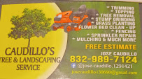 Caudillo's Tree & Landscaping Service - Photo 2 - Car repair in Magnolia, TX, The Woodlands