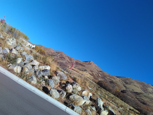 Zoo «Hogle Zoo», reviews and photos, 2600 Sunnyside Ave S, Salt Lake City, UT 84108, USA