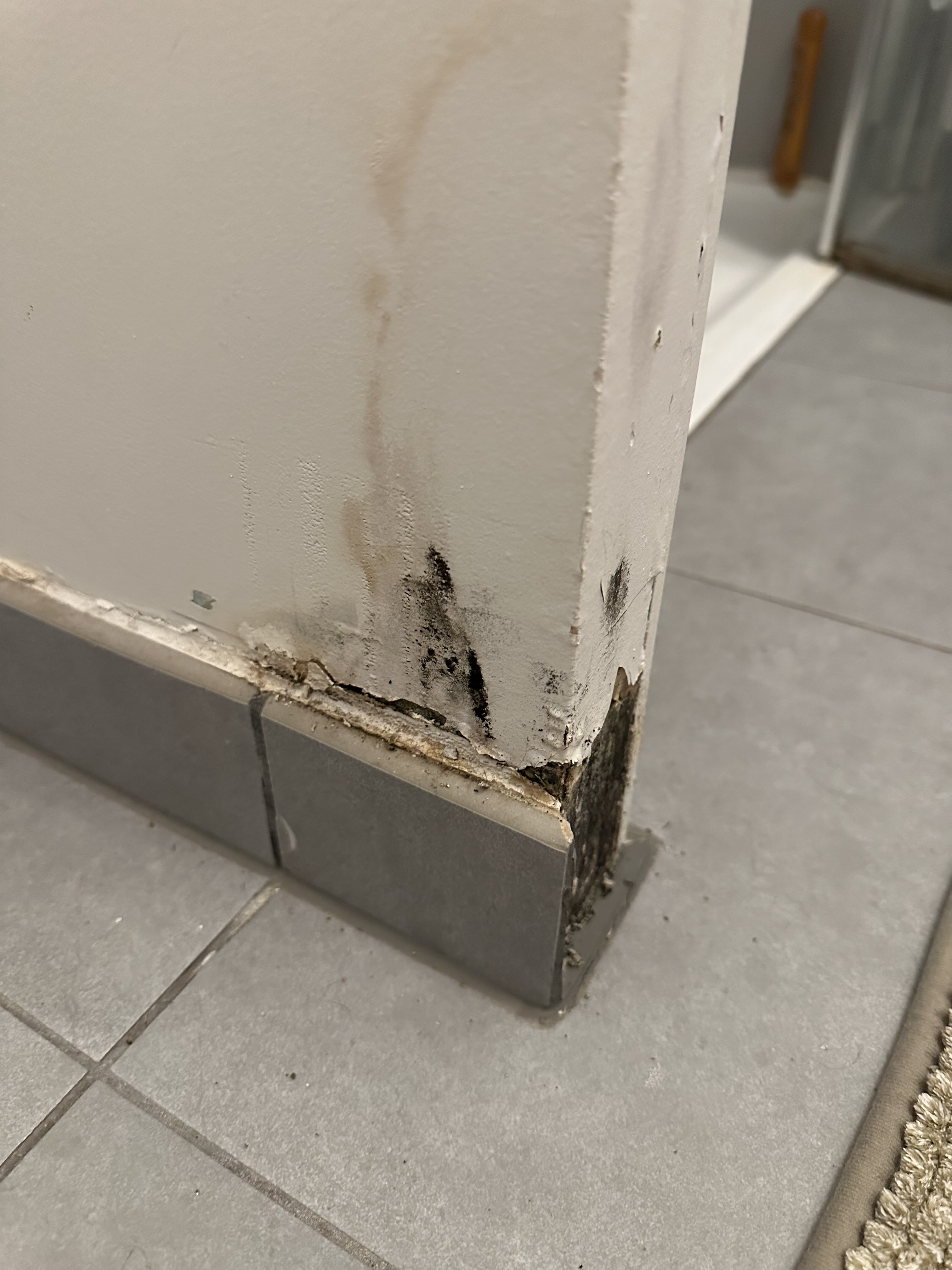 Photo n° 5 de l'avis de Berthollet.a fait le 03/10/2023 à 11:27
