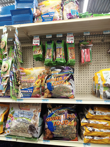 Home Improvement Store «Tractor Supply Co.», reviews and photos, 3184 US-11, Malone, NY 12953, USA