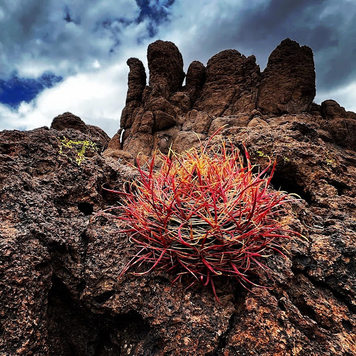 Hiking Area «Monolith Garden Trail», reviews and photos, Metwell Dr, Kingman, AZ 86401, USA