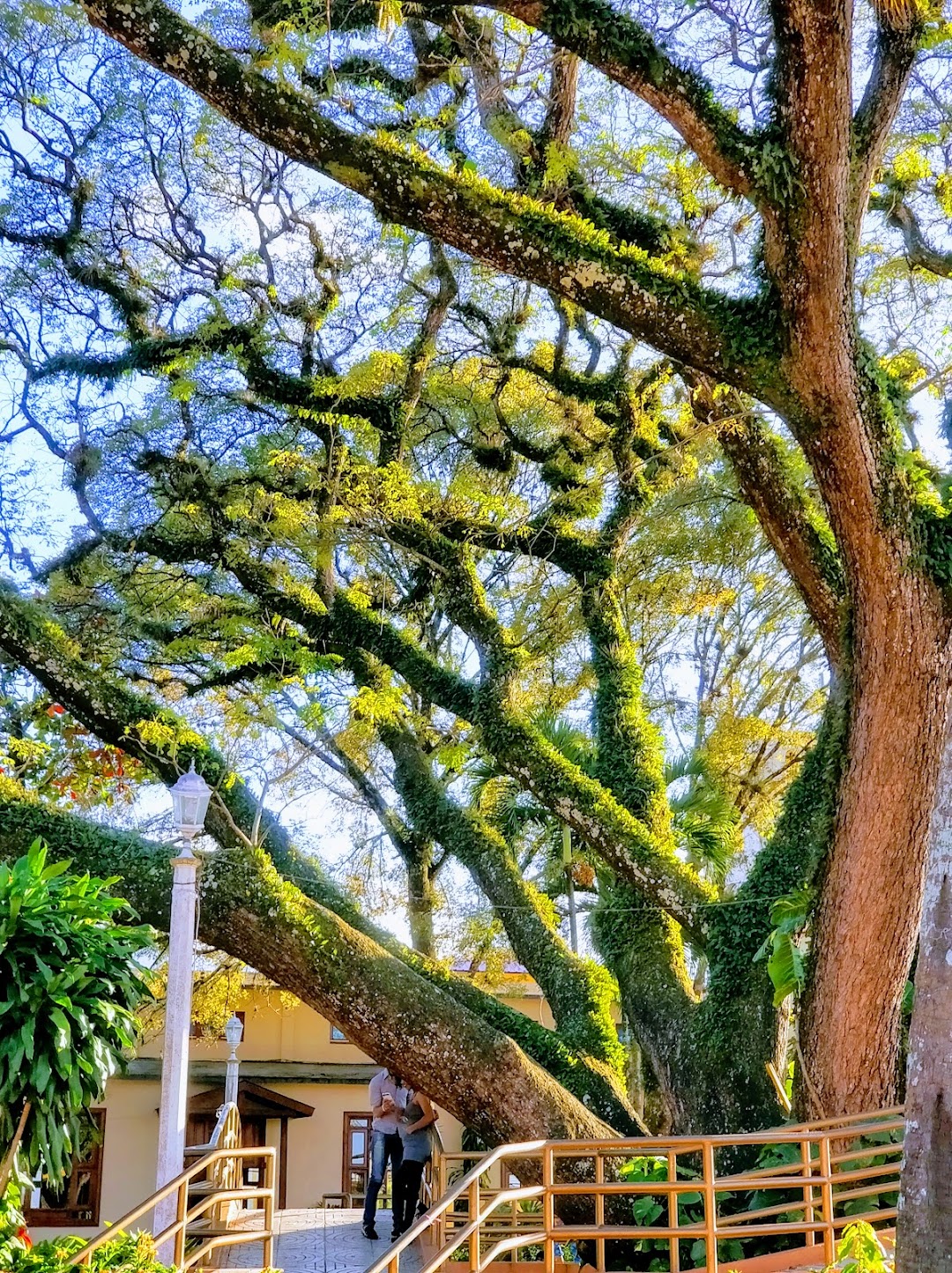 Parque Central Jarabacoa