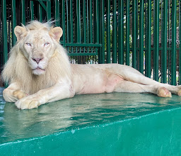 Hua Hin Zoo photo