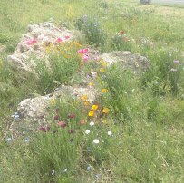 Ozark Landworks Llc - Photo 3 - Car repair in , Springfield