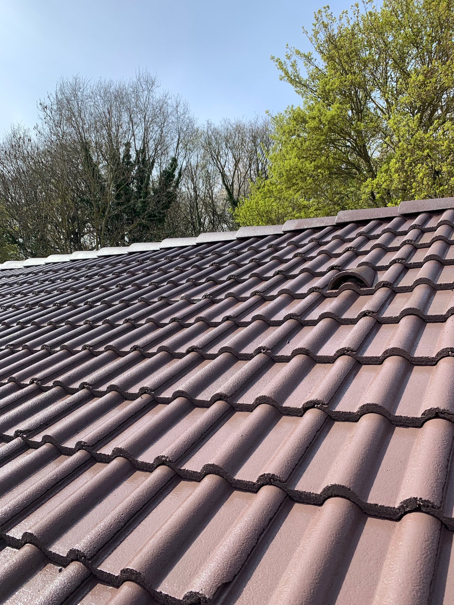 Photo n° 3 de l'avis de Tieu.h fait le 05/04/2019 à 12:23