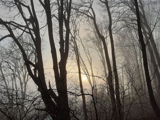 Park «Lewis Park», reviews and photos, 1120 15th Ave S, Seattle, WA 98144, USA