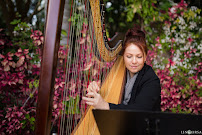 Vharp - Photo 7 - Car repair in , Thousand Oaks