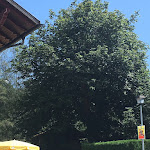 Photo n°3 de l'avis de Johannes. fait le 05/08/2017 à 15:03 sur le  Gasthof Beim Mader à Maierhöfen