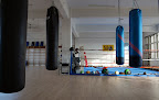 Best Boxing Schools In Copenhagen Near You