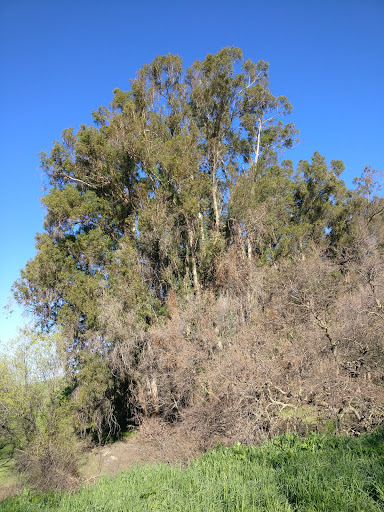 Emerald Glen Park image