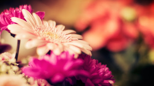 Florist «Floral Fashions», reviews and photos, 78 Purdy Ave, Port Chester, NY 10573, USA