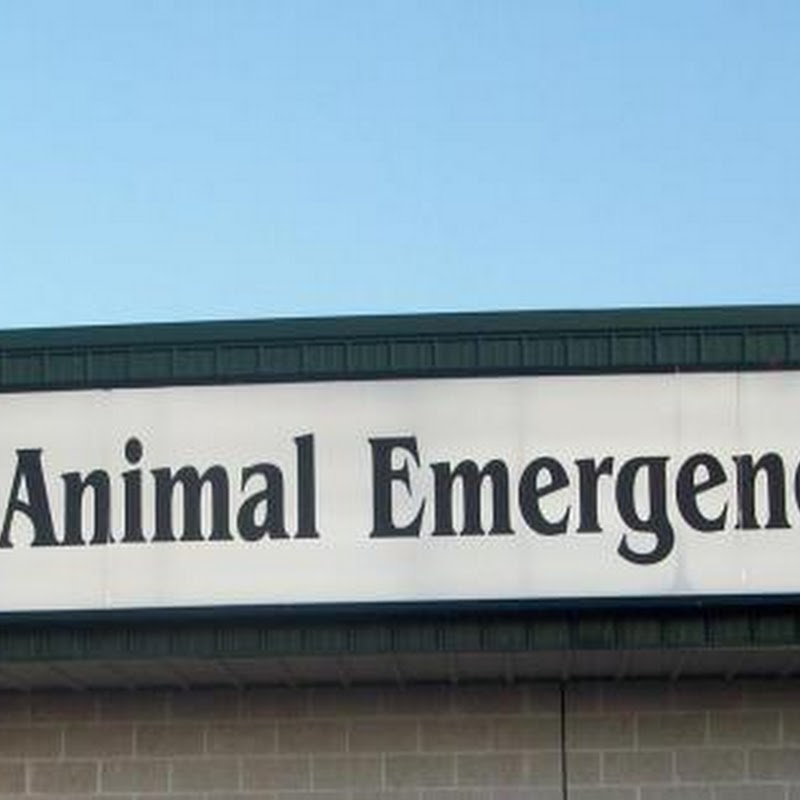 Delmarva Animal Emergency Center