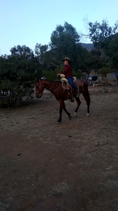 Rancho los caballos