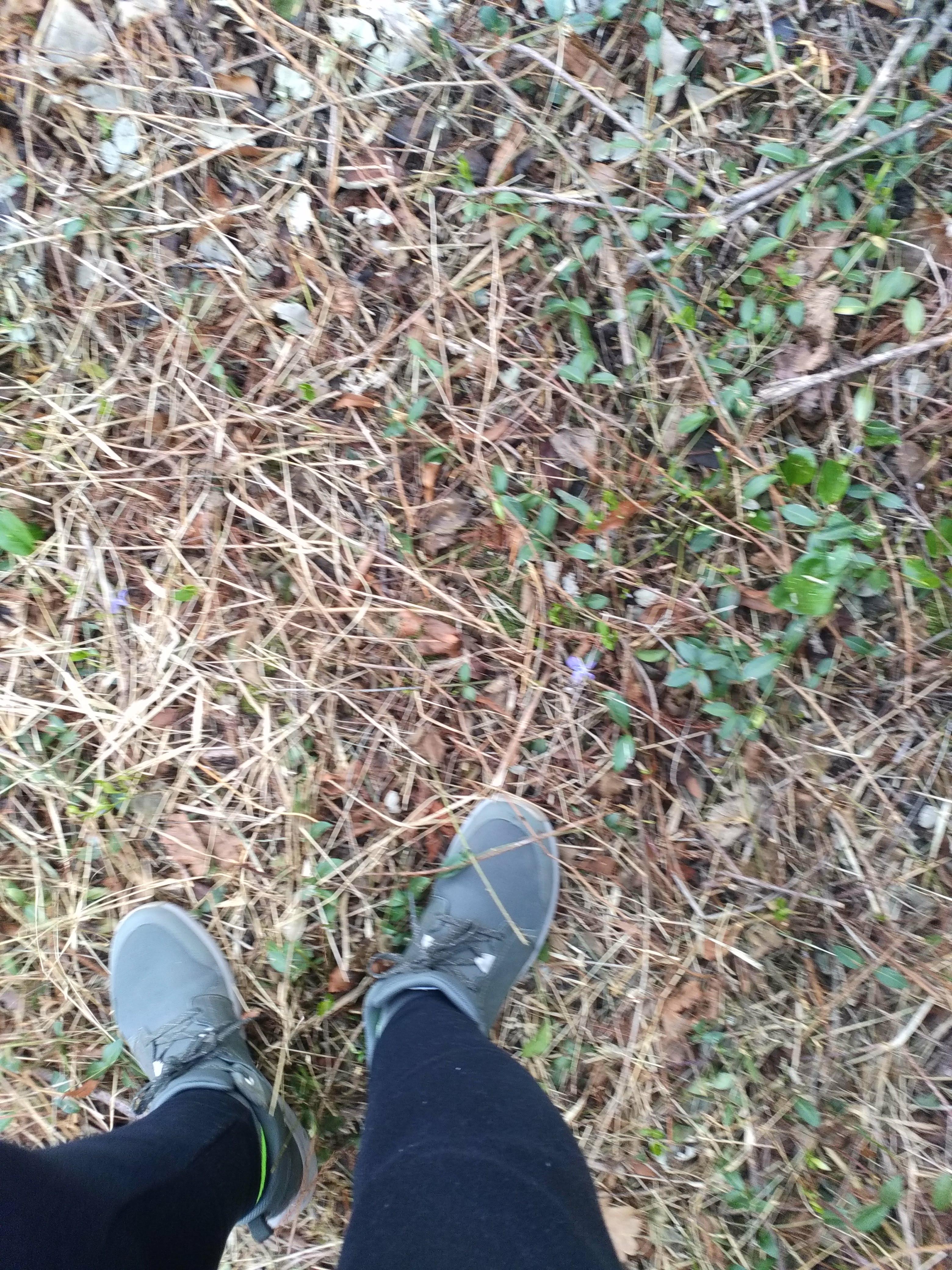 Photo n° 10 de l'avis de Françoise.E fait le 12/03/2021 à 11:33