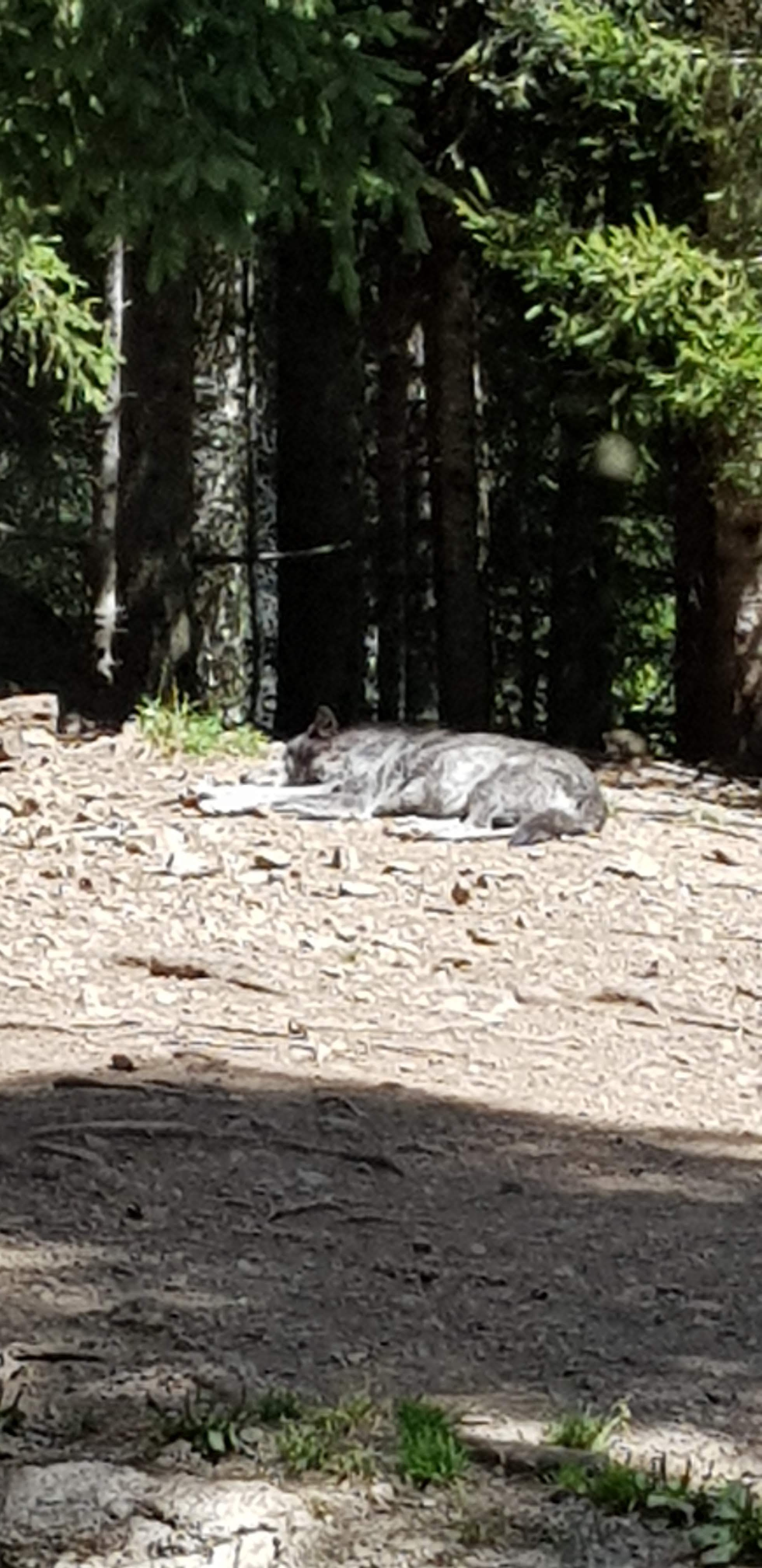 Photo n° 4 de l'avis de Valérie.n fait le 10/08/2020 à 17:42