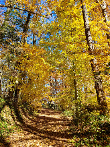 Nature Preserve «Daniel Johnson Nature Preserve», reviews and photos, 1301 Beech Valley Rd NE, Atlanta, GA 30306, USA