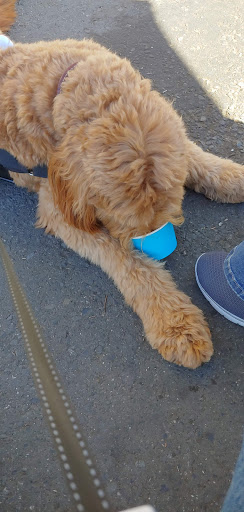 Espresso Bar «Captain Davey’s Coffee and Ice Cream», reviews and photos, 537 Smith Brothers Rd, Bodega Bay, CA 94923, USA