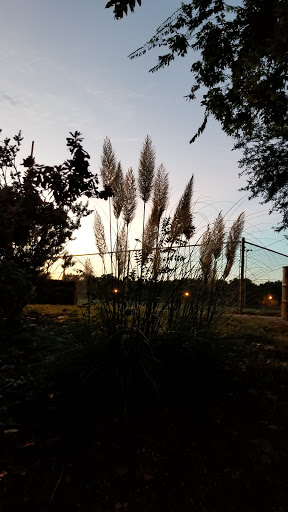 Park «Lions Park», reviews and photos, 1099 S Peach St, Duncanville, TX 75137, USA