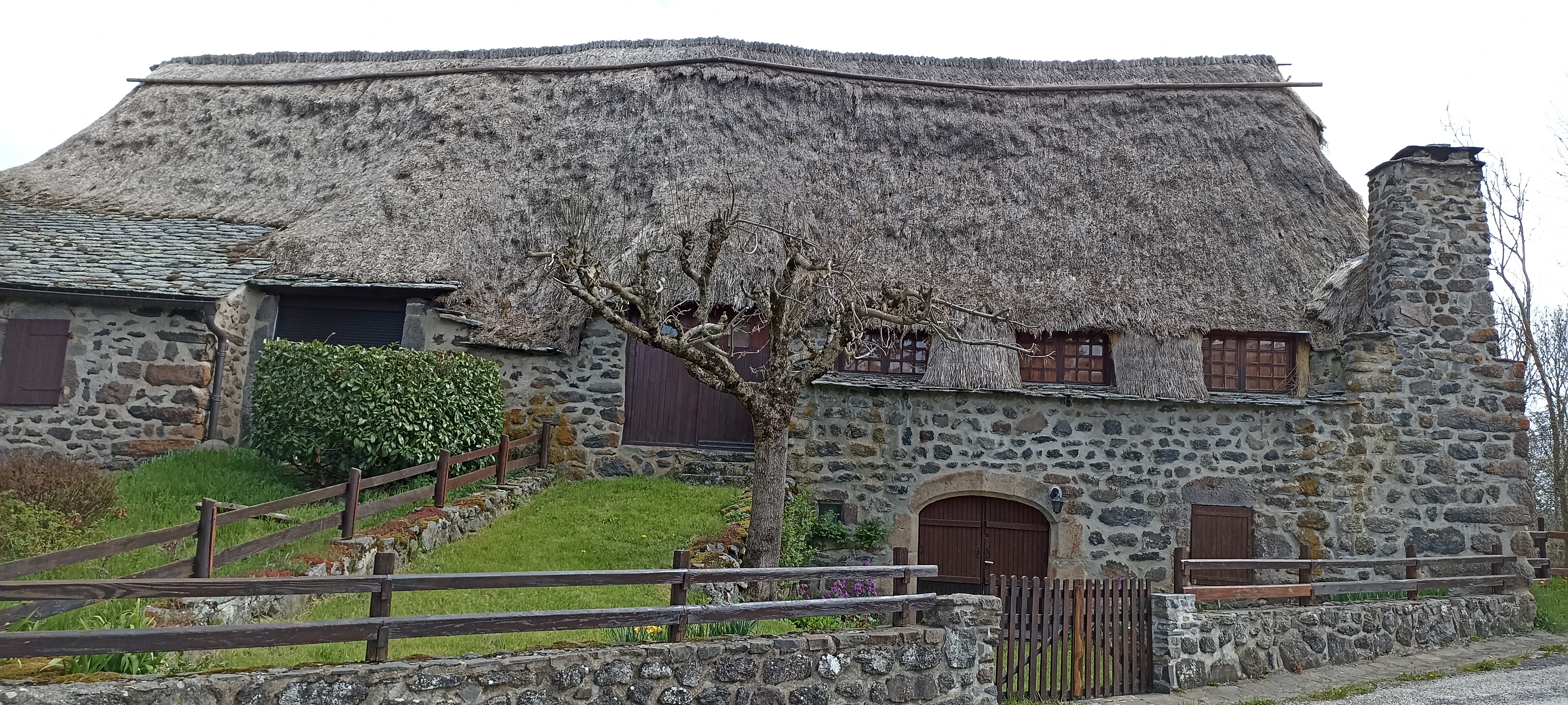 Photo n° 2 de l'avis de Laurence.e fait le 30/04/2023 à 18:41