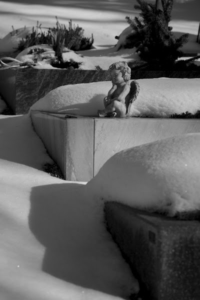 Photos of Cimeti&egrave;re Saint-Martin