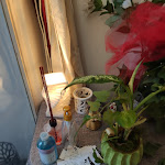 Photo n°5 de l'avis de Mary. fait le 20/12/2020 à 20:25 sur le  Trattoria Carpe Diem à Terni