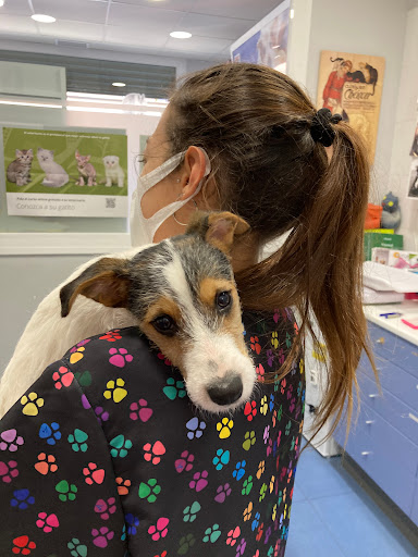 Aurora Centre Veterinari en Canet de Mar