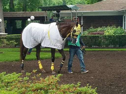 Casino «Casino @ Delaware Park», reviews and photos, 777 Delaware Park Blvd, Wilmington, DE 19804, USA