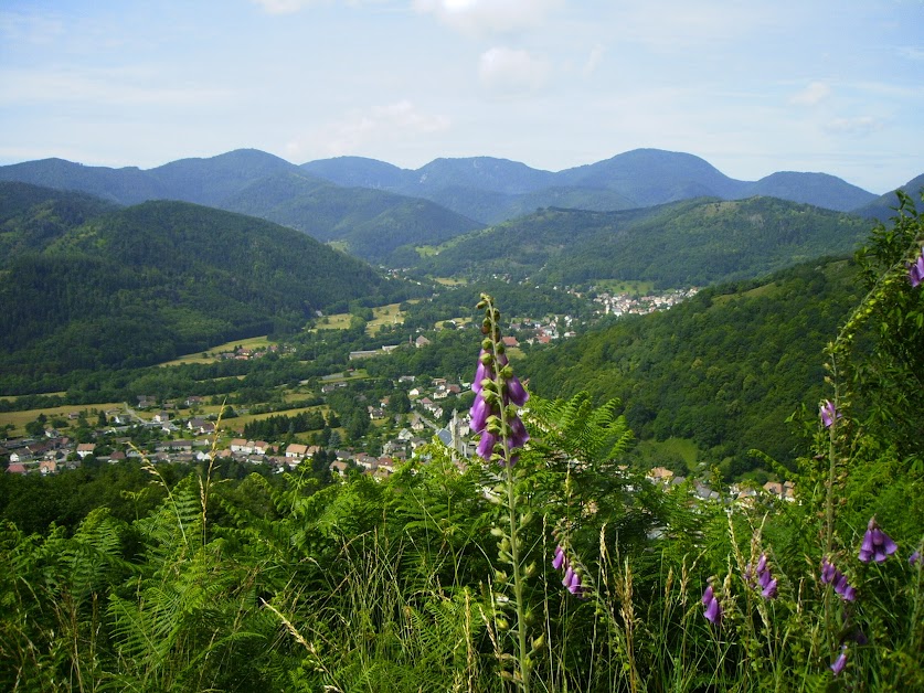 Gite de la grande prairie à Ranspach (Haut-Rhin 68)