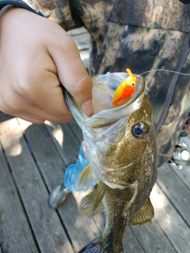 Sporting Goods Store «Irby Street Sporting Goods», reviews and photos, 1333 S Irby St # A, Florence, SC 29505, USA