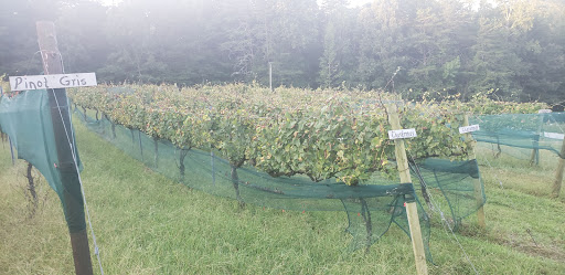 Winery «Sharp Mountain Vineyards», reviews and photos, 110 Rathgeb Trail, Jasper, GA 30143, USA