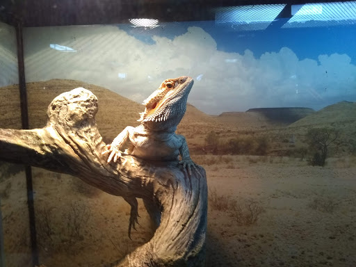 Pet Store «Wildside Pets», reviews and photos, 1042 N Higley Rd #105, Mesa, AZ 85205, USA