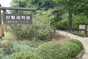 Hongneung Forest (Arboretum) image