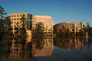St. Luke's Health - The Woodlands Hospital - The Woodlands, TX image