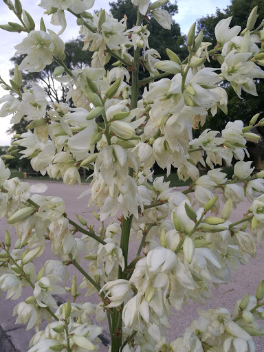 Park «Ehlert Park», reviews and photos, Congress Park Ave, Brookfield, IL 60513, USA