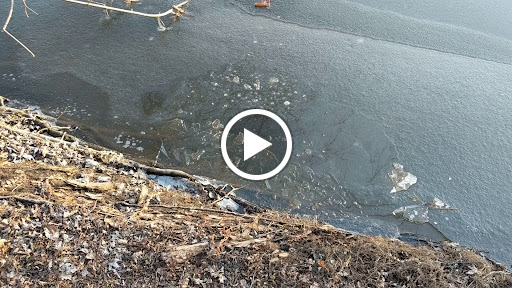 Nature Preserve «Burns-Stokes Preserve», reviews and photos, Zeeb Rd, Dexter, MI 48130, USA