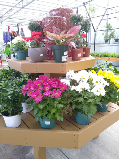 Greenhouse «Wentworth Greenhouses», reviews and photos, 141 Rollins Rd, Rollinsford, NH 03869, USA