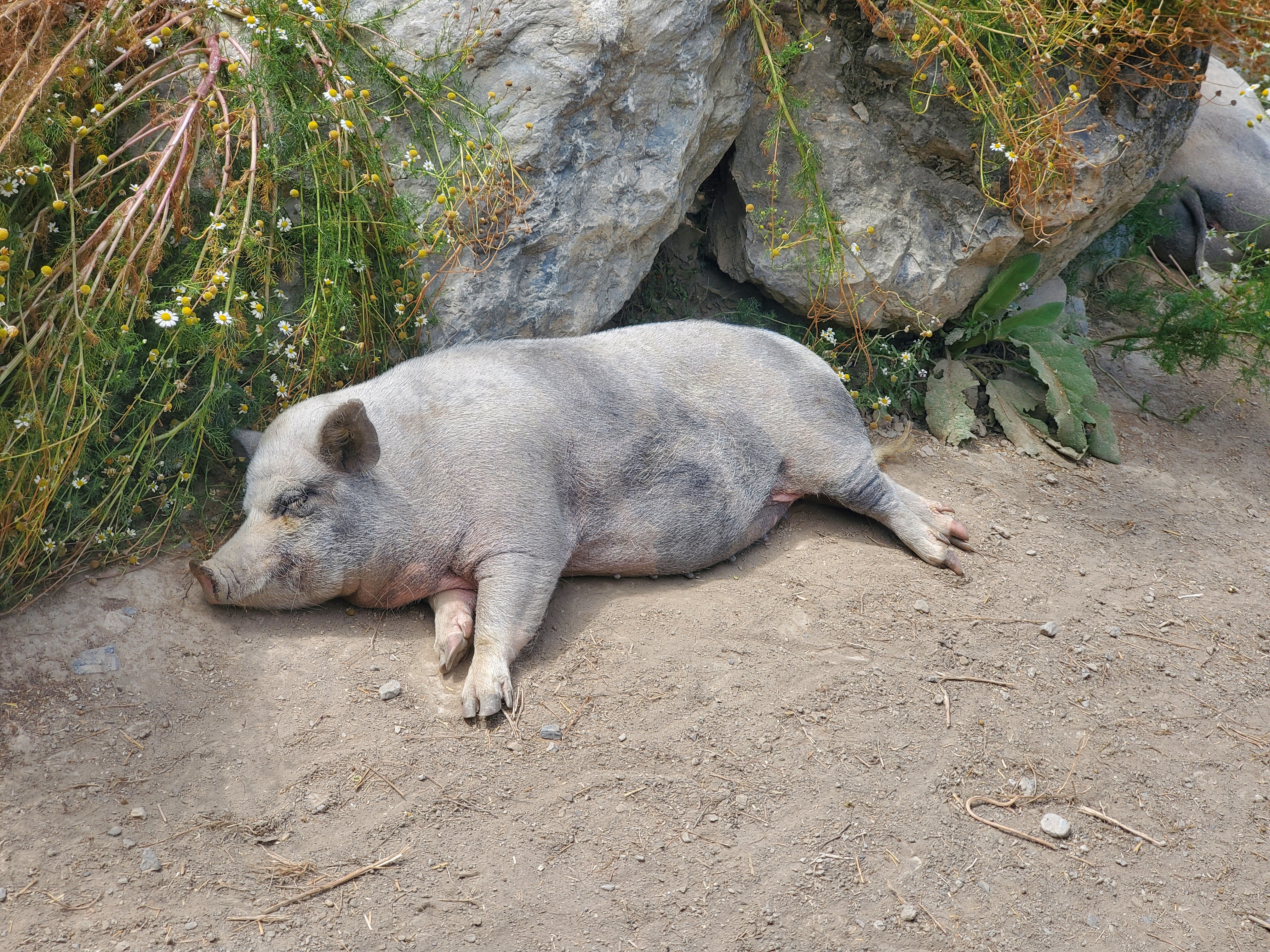 Photo n° 13 de l'avis de Lynda.e fait le 15/08/2023 à 10:47