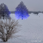 Photo n°8 de l'avis de Uwe.c fait le 20/12/2022 à 18:28 sur le  Waldsee Golf-Resort à Bad Waldsee