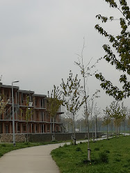 Cohousing Waasland